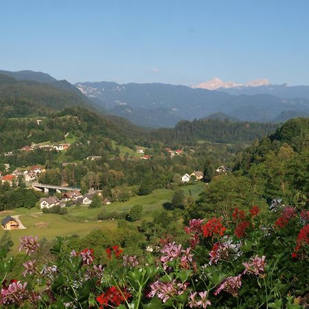 Kunstelj Pension Radovljica Esterno foto