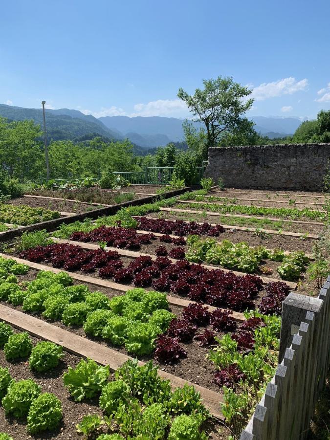 Kunstelj Pension Radovljica Esterno foto