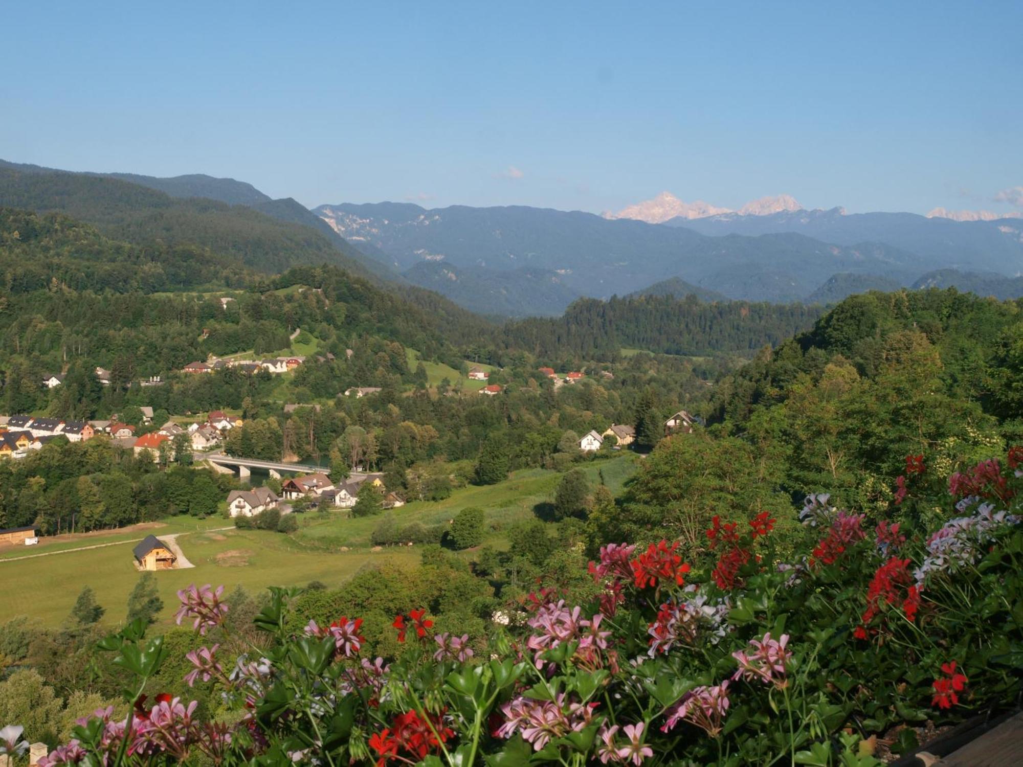 Kunstelj Pension Radovljica Esterno foto