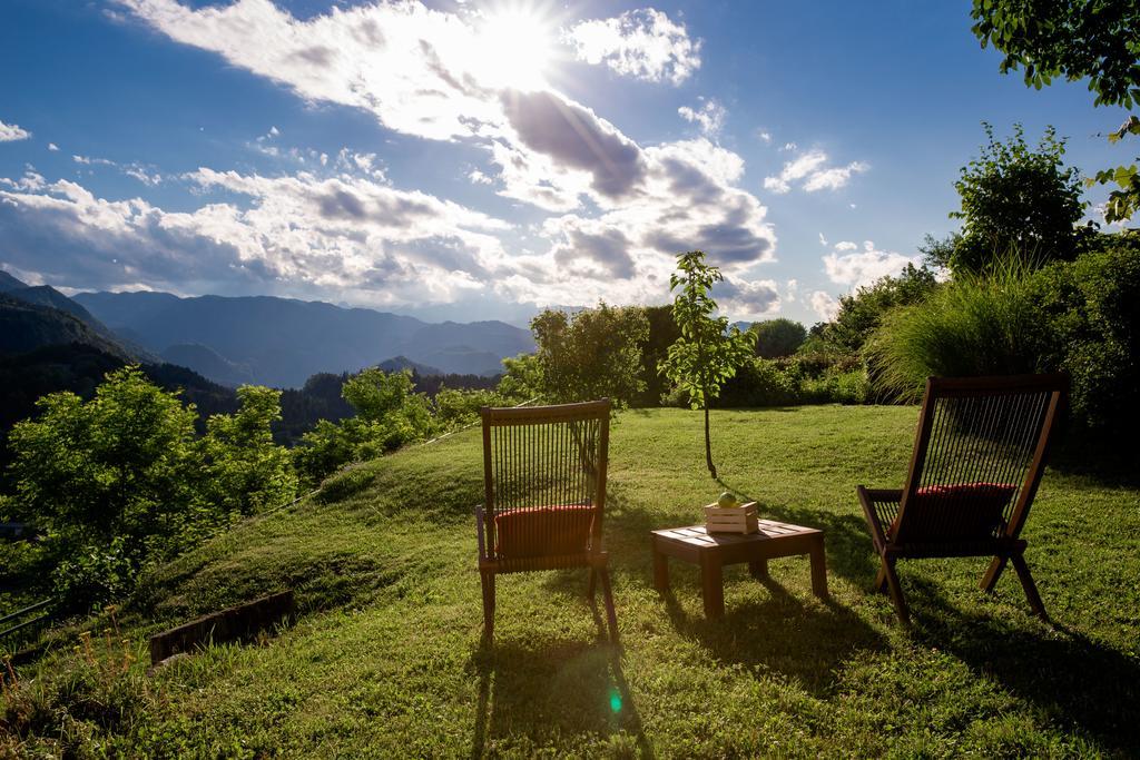 Kunstelj Pension Radovljica Esterno foto