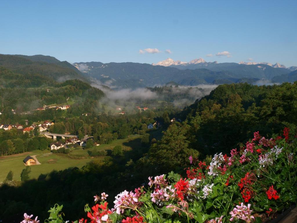 Kunstelj Pension Radovljica Esterno foto