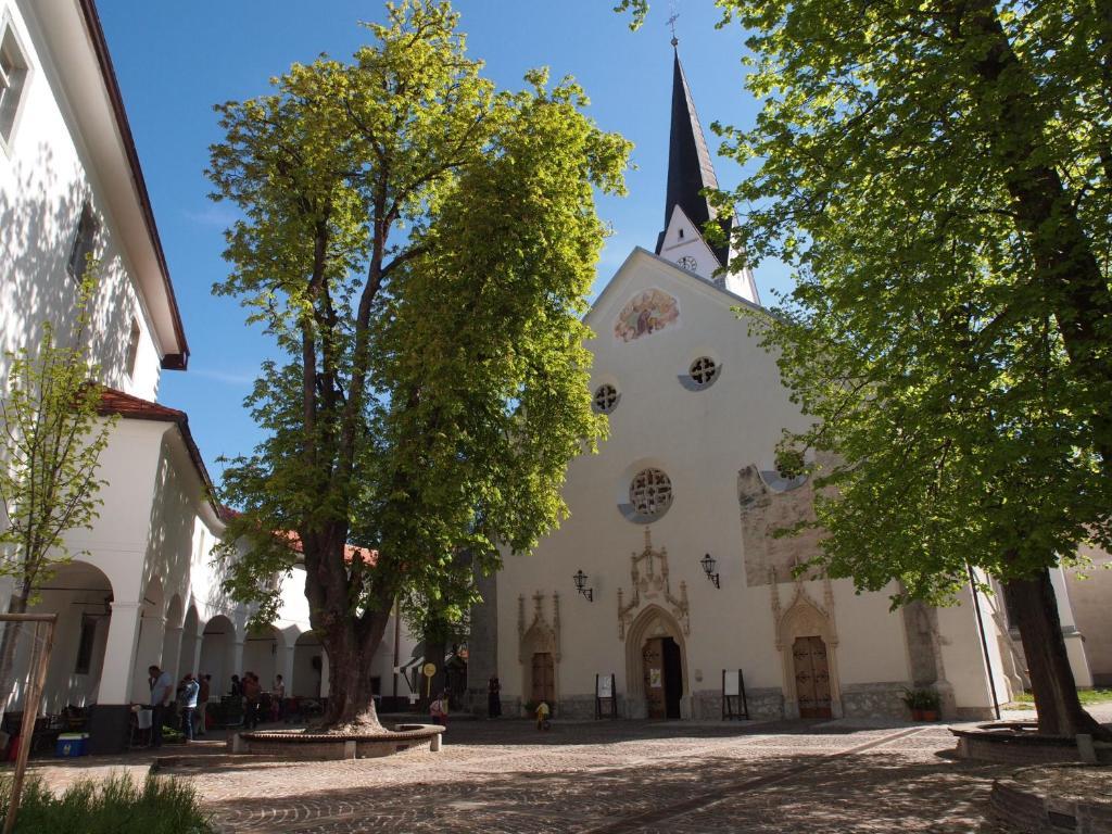 Kunstelj Pension Radovljica Esterno foto