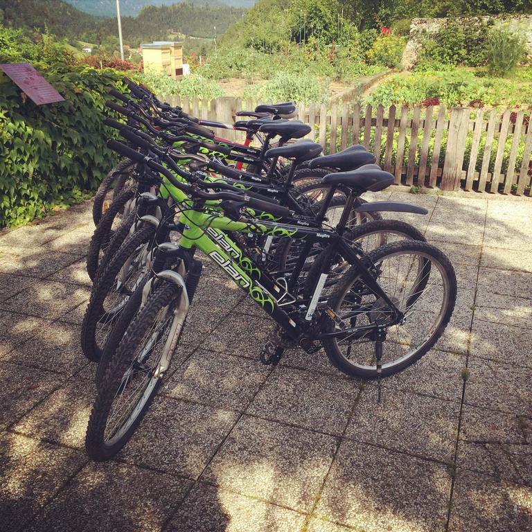 Kunstelj Pension Radovljica Esterno foto