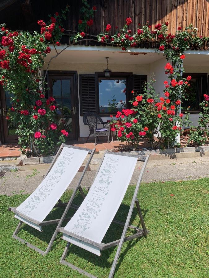 Kunstelj Pension Radovljica Esterno foto